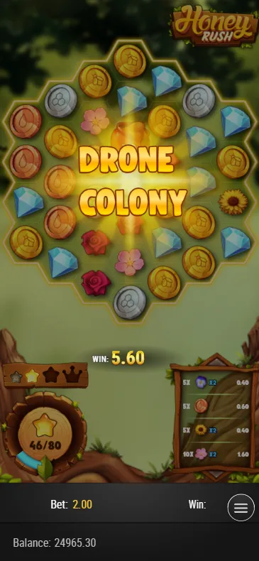 Drone colony