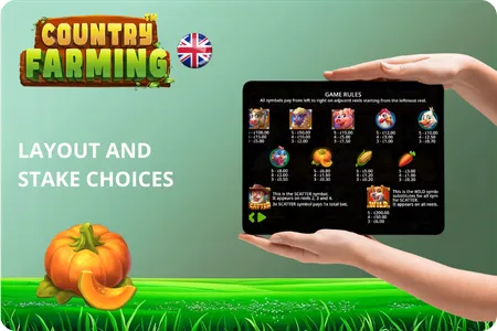 Layout and Stake Choices Country Farming