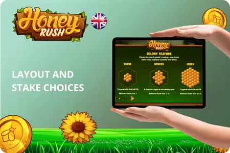 Layout and Stake Choices
