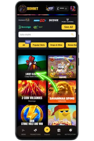 Select Lucky Clucks