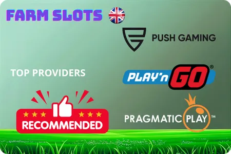 Top Providers Offer